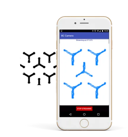 Drosophila's tracking snapshot