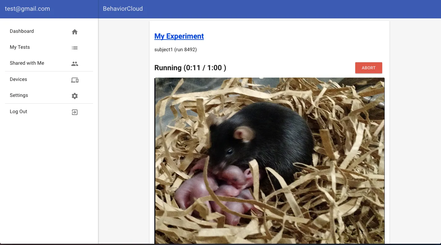 Video of maternal care