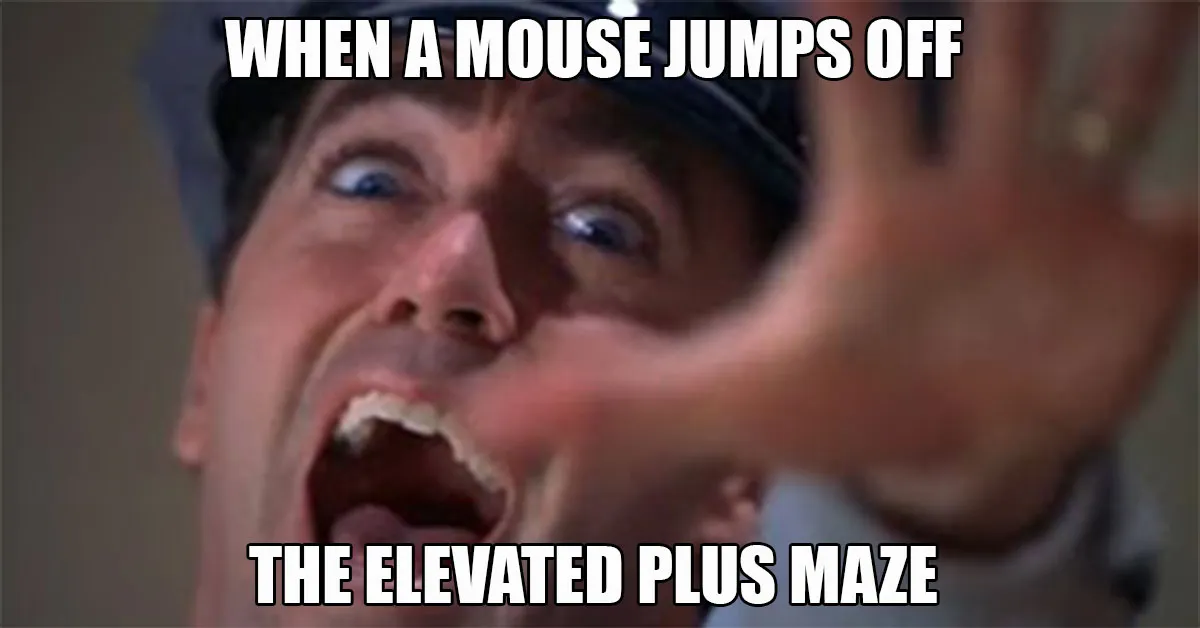 Meme - When a mouse jumps off the elevated plus maze