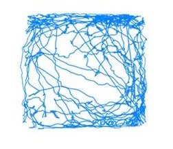 tracked path in video based open field